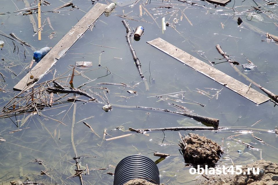 � �������� ��������� ��������� ������������ ������