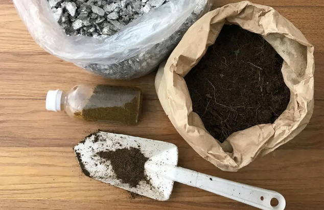 Как правильно подготовить рассаду перца в апреле