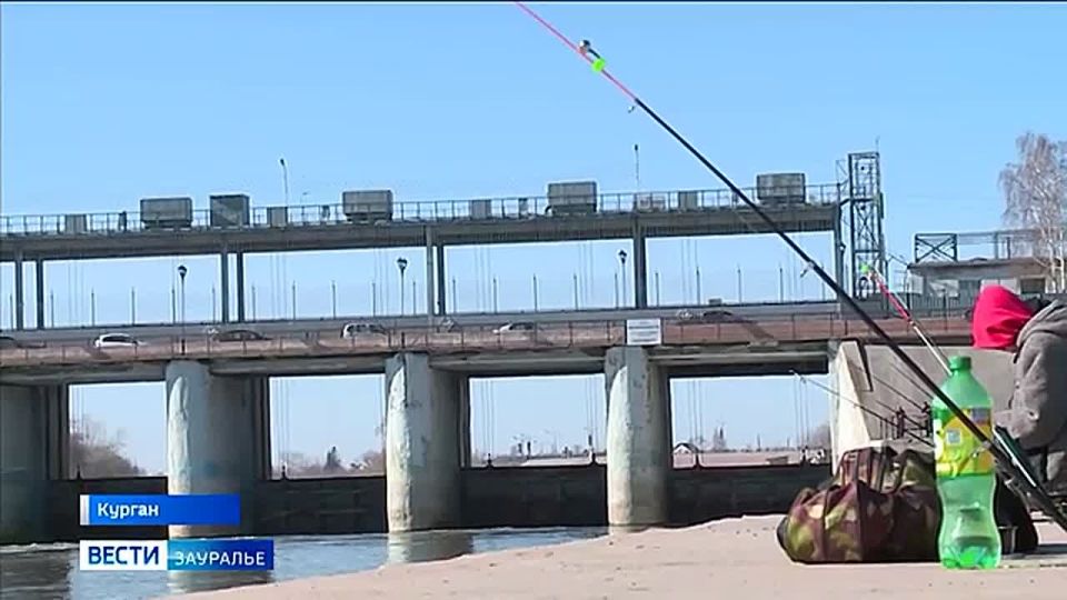 ����� ������ ������� ������� � �������