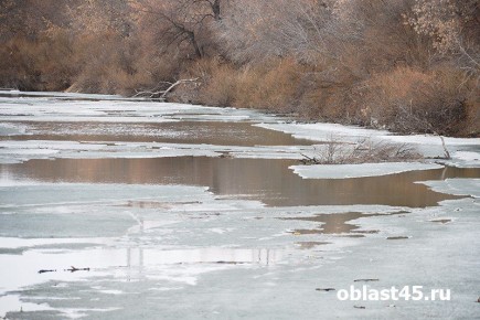 ������� ������ ����� �� ������� ���������� �������