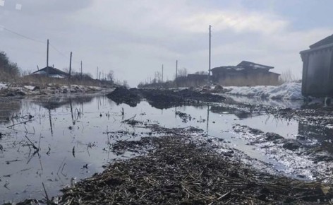 ������ �� �������, ����� � ��������� ���: ���������� ������� ������������ ���� ��������������� ����� �� ���������