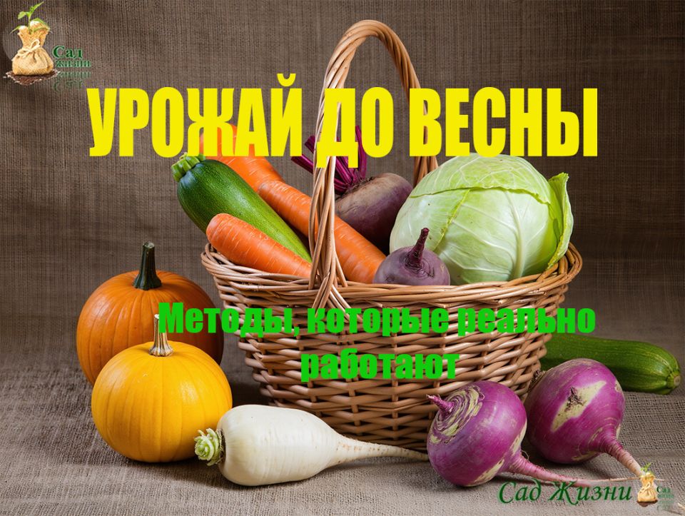 ����������� ������� ������� �������� ������