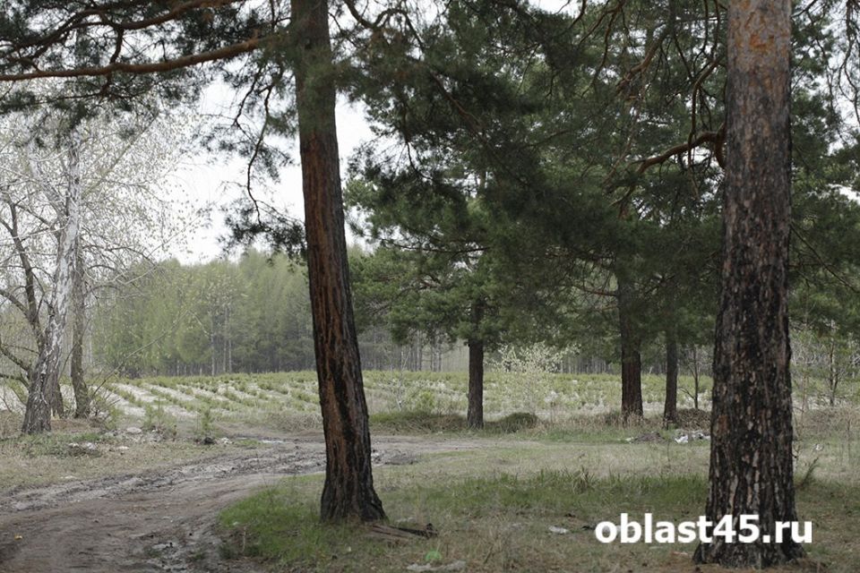 ��� �������� ���� ��������� �������� � �������, ��� ������ �������� �� ���������