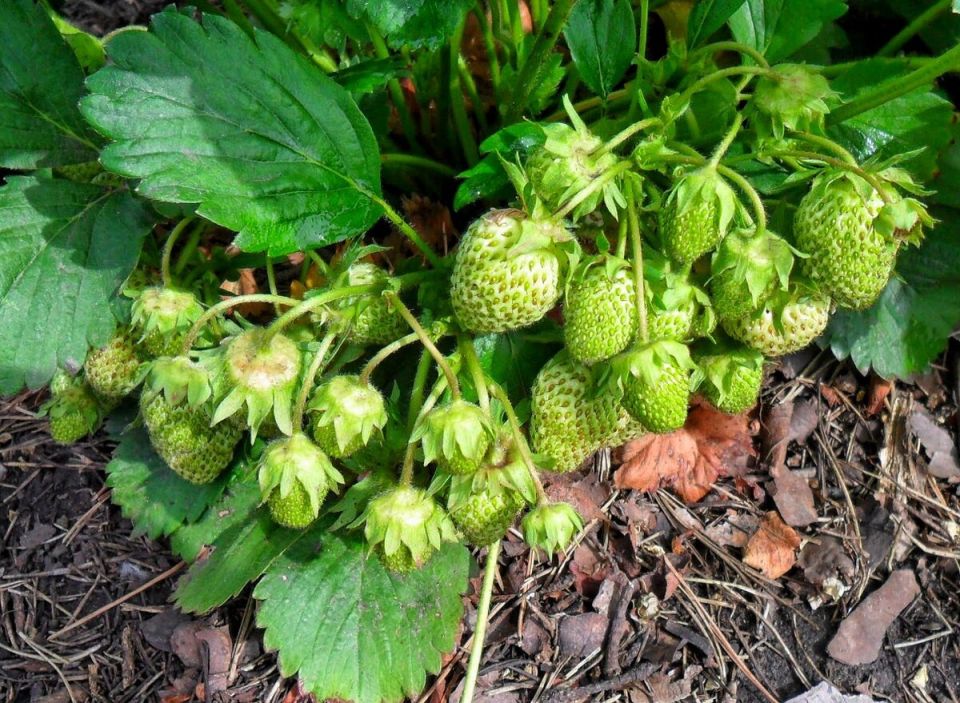 ��� ��������� ������������� �������� ����� �������� ��� ��������� �������� ������