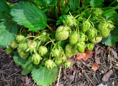 ��� ��������� ������������� �������� ����� �������� ��� ��������� �������� ������