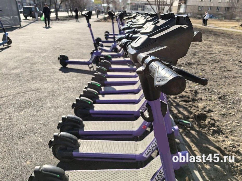 ������� ������ � ���� ������ � ������� �������� ��� ������ ��� ����������