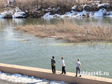 Карась в зоне доступа: в Курганской области обсуждают замор рыбы и безопасность мессенджеров