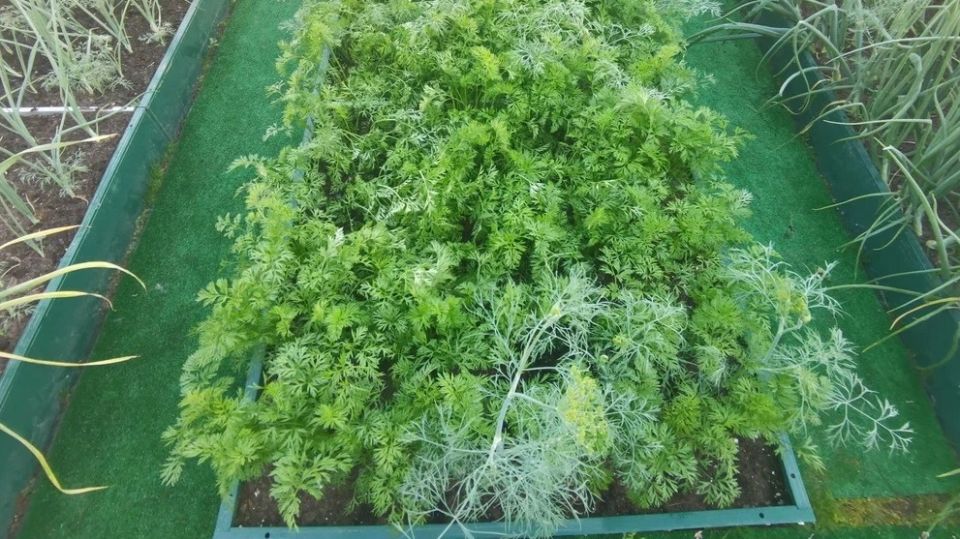 ������������ �������������: ��������� ��������� ������ ����� ������ ������