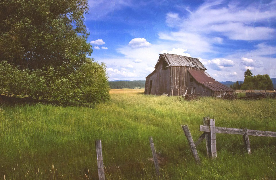 Как приобрести заброшенный дом: секреты приобретательной давности