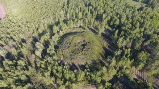 �׸���� �������� ���������� ���������� ����������� ������