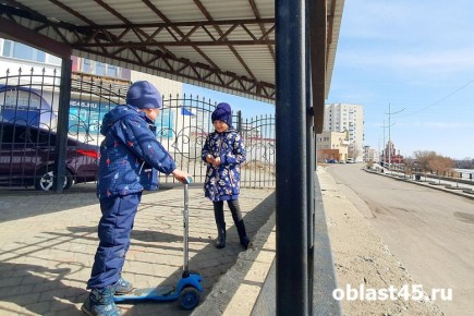 ��������� ����������: ���� �� ����������� � ��������� - ���� ����������� �����