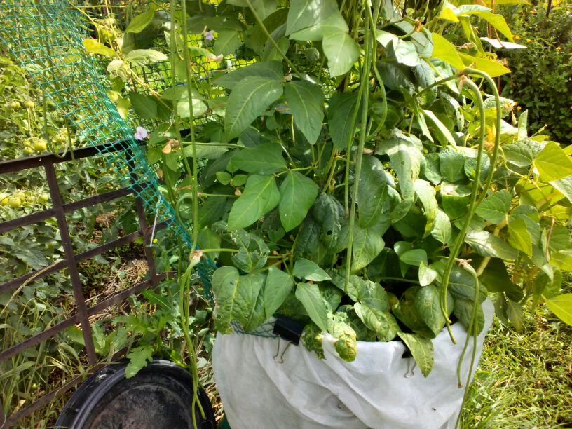 ������� ��������� ����������� ����� � ������