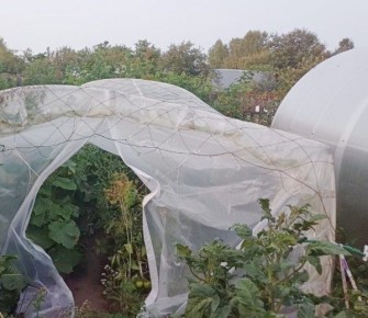 ������� �����������: ��� ������� ����� ������� ������