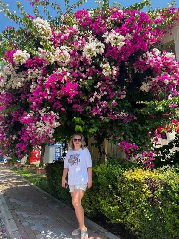 ������� ���� �������� ����������� ��������� � �������� ��������� ����������������� ��������� ٸ�������