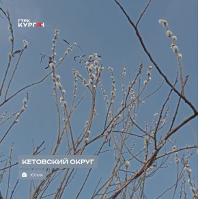 ������ ����, ���������!. ������� � ������� ������� �������� � ������������ ������