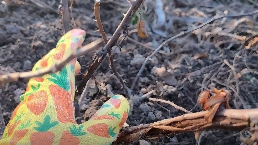 ����������� ������ ������� ������� ���: ��� ��������� �������� ������ ��� ������