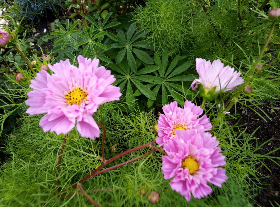 ������: ������ �� �������, ������� ����� ������� � ���