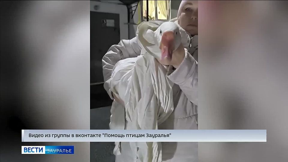 ���� ������� � ���� ���� ������ ��������� �����