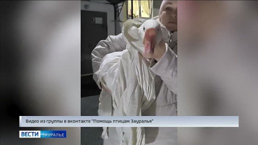 ���� ������� � ���� ���� ������ ��������� �����