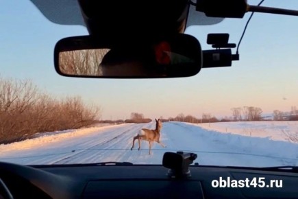 � ���������� ������� ����� ��������� ������ ������ � ���� ��-�� ����� ���