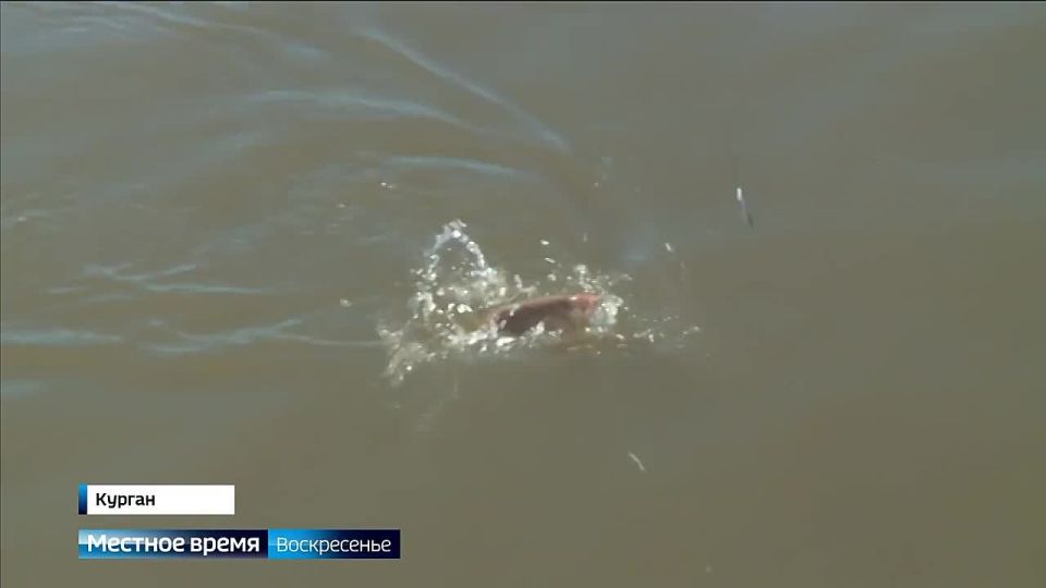 � ���������� ������� ����� ���� ��������� ������������