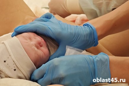 �� ���� � ���������� �������� �������� 115 �������