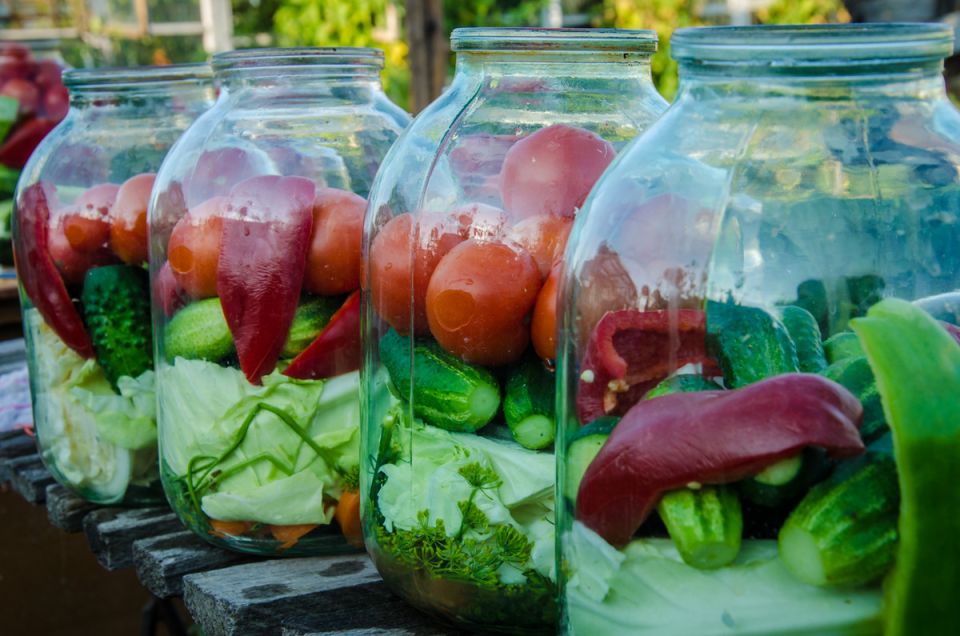 ������� ������� "������": ������ �������� ���������