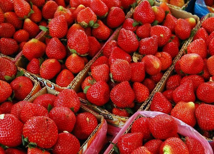 ������������� ������� ���������� ��������