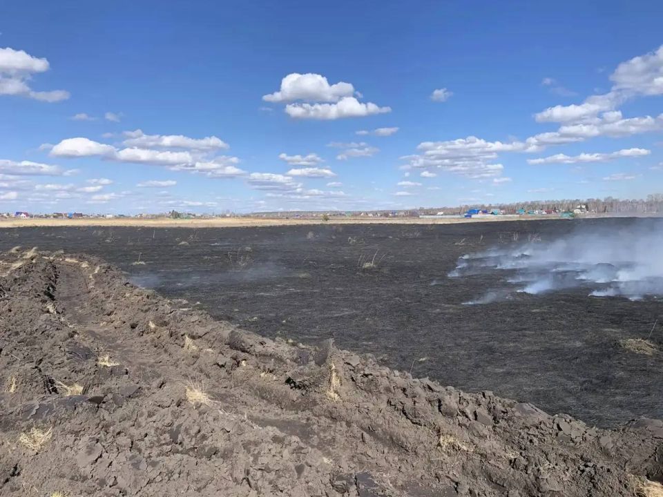 ������ ������������ � ����������, ������������ ������ ����������, ���������� ���������������� �������������� ������ ����� ��������������