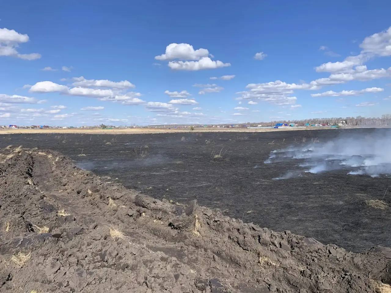 Вблизи микрорайонов и садоводств, подверженных угрозе возгораний, проводятся профилактические контролируемые отжиги сухой растительности Вблизи микрорайонов и садоводств, подверженных угрозе возгораний, проводятся профилактические контролируемые отжиги сухой растительности