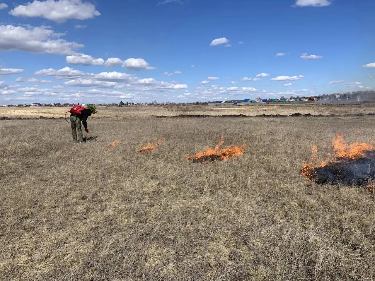 Вблизи микрорайонов и садоводств, подверженных угрозе возгораний, проводятся профилактические контролируемые отжиги сухой растительности Вблизи микрорайонов и садоводств, подверженных угрозе возгораний, проводятся профилактические контролируемые отжиги сухой растительности