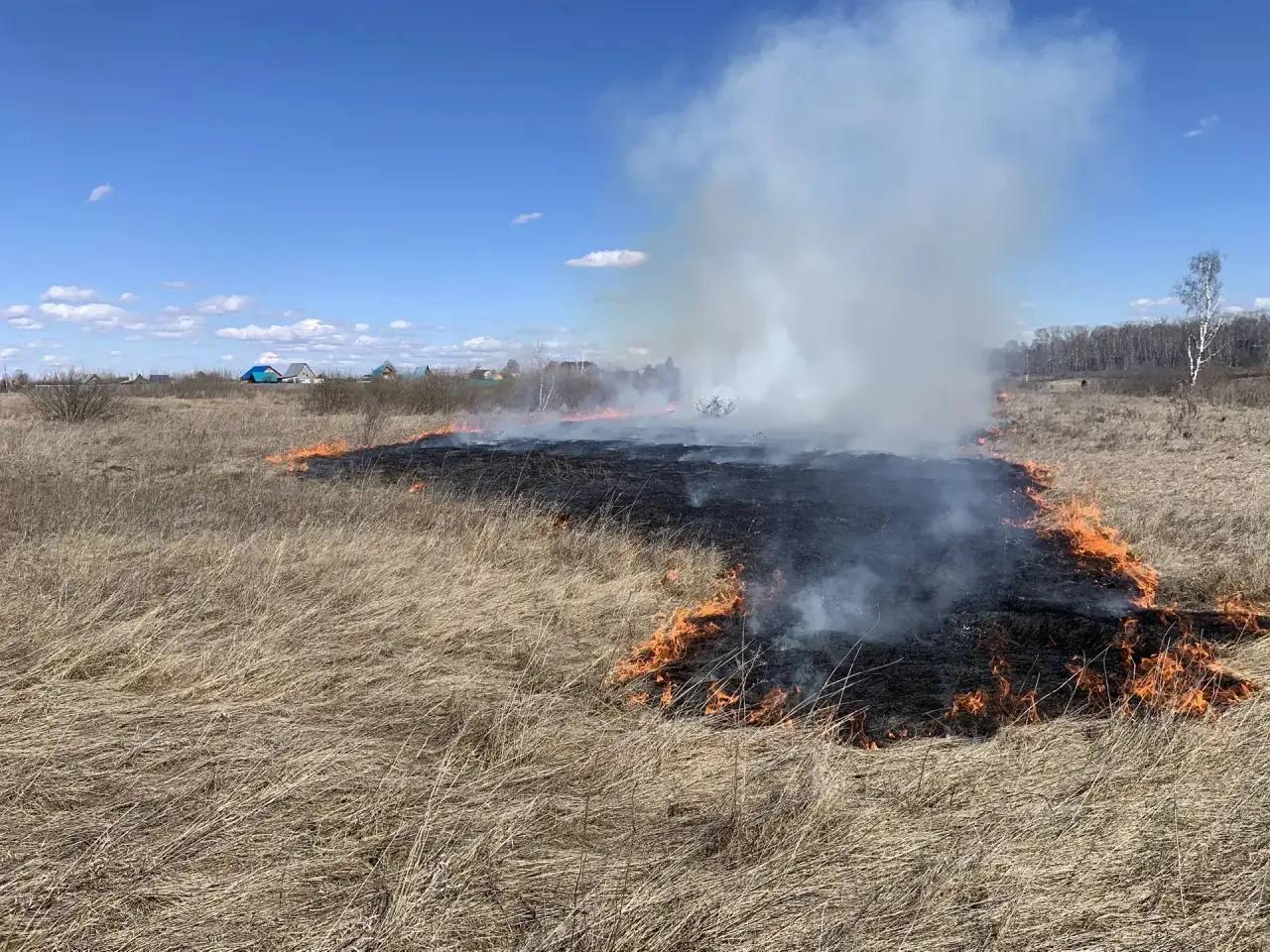 Вблизи микрорайонов и садоводств, подверженных угрозе возгораний, проводятся профилактические контролируемые отжиги сухой растительности Вблизи микрорайонов и садоводств, подверженных угрозе возгораний, проводятся профилактические контролируемые отжиги сухой растительности