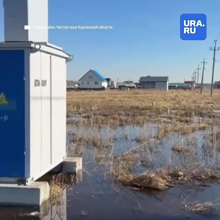 �� ���� ����������� ����� ����