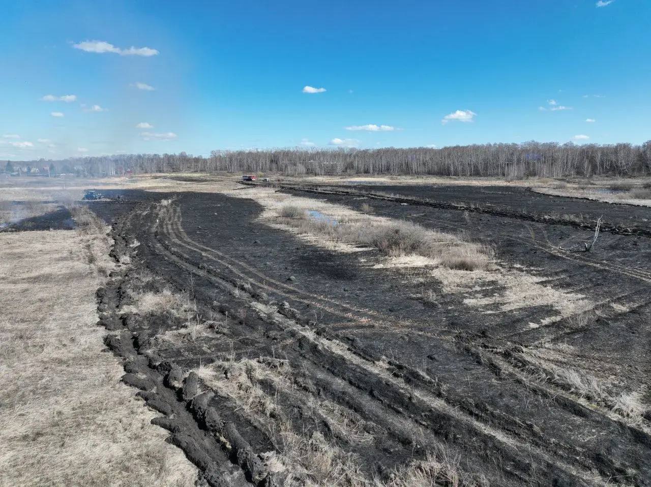 Вблизи микрорайонов и садоводств, подверженных угрозе возгораний, проводятся профилактические контролируемые отжиги сухой растительности Вблизи микрорайонов и садоводств, подверженных угрозе возгораний, проводятся профилактические контролируемые отжиги сухой растительности