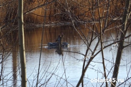 Нерестовый запрет в Зауралье: как ограничения помогают сохранить экосистему