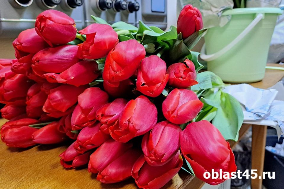 38% ���������� �������� ���������� ��� �������� �����������