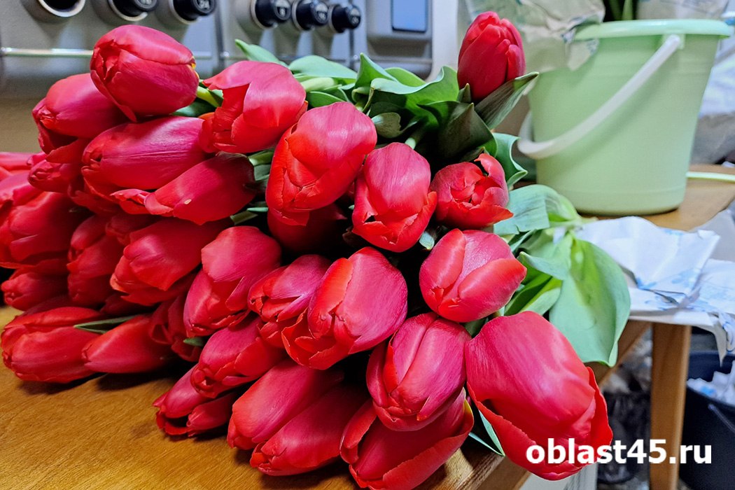 38% курганских компаний игнорируют дни рождения сотрудников