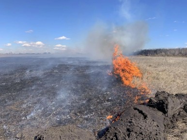 Отжиги травы перед пожароопасным сезоном проводят в Кургане