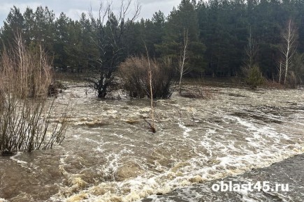 � ���������������� ������� ���� � ������ ����� �� 60 �� �� �����