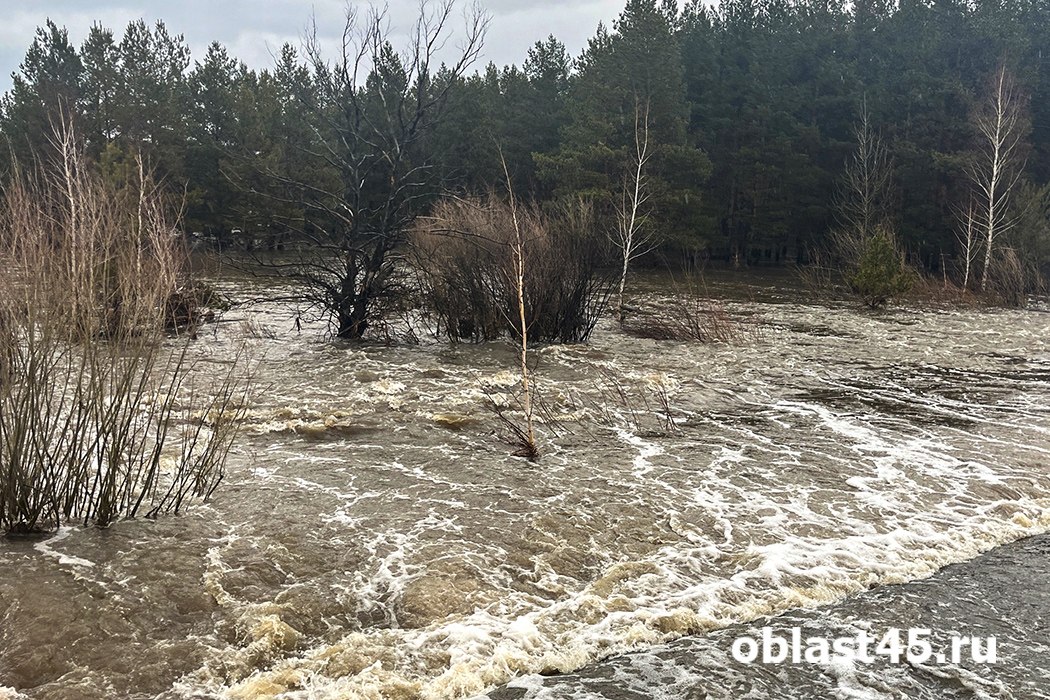 В Звериноголовском уровень воды в Тоболе вырос на 60 см за сутки