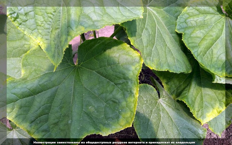 ���������� ������� �������: �������� ������� � ������ �� �����