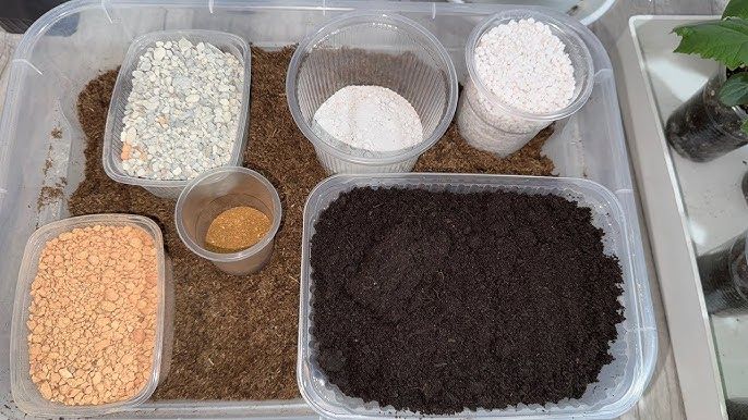 ��� ������������� ����� ����� �������: ������� ���������� ������