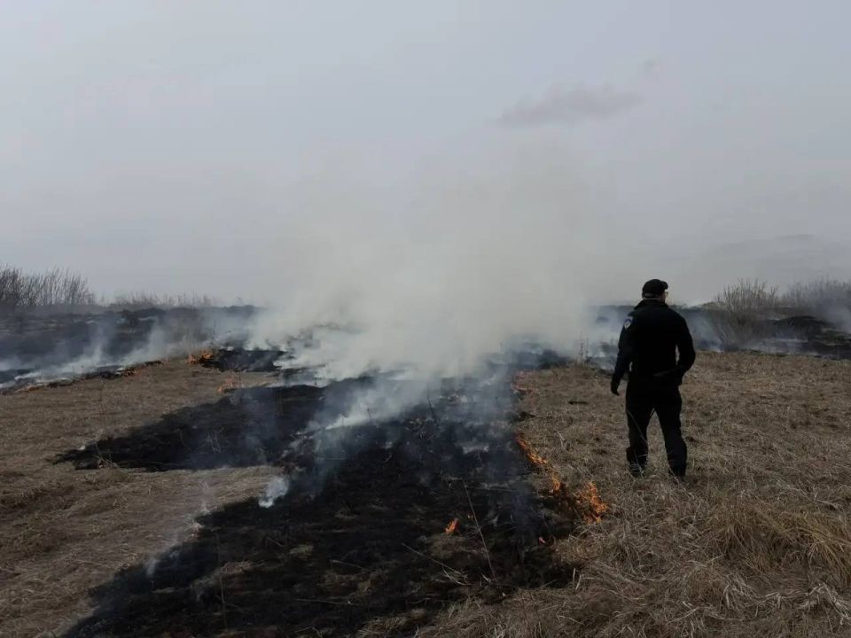 �� ���������� ������ ������������ �������� ����������� �� ����������� �������� ������������