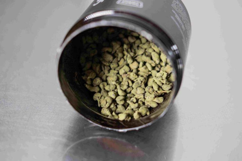 ���� � ���������: ������ ���� ����� � ������ ������� ����