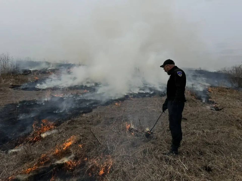 �� ���������� ������ ������������ �������� ����������� �� ����������� �������� ������������