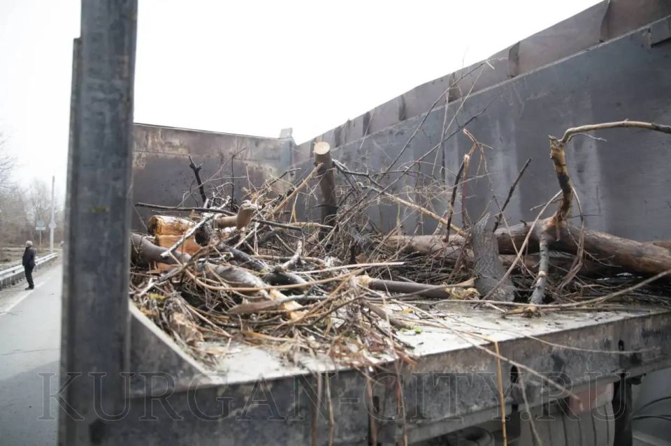 ������� � ������ ����-����������� ����� ���������� ������ �� ��������� ������ ��� ����������� ������������� ����������� ��������� ���������