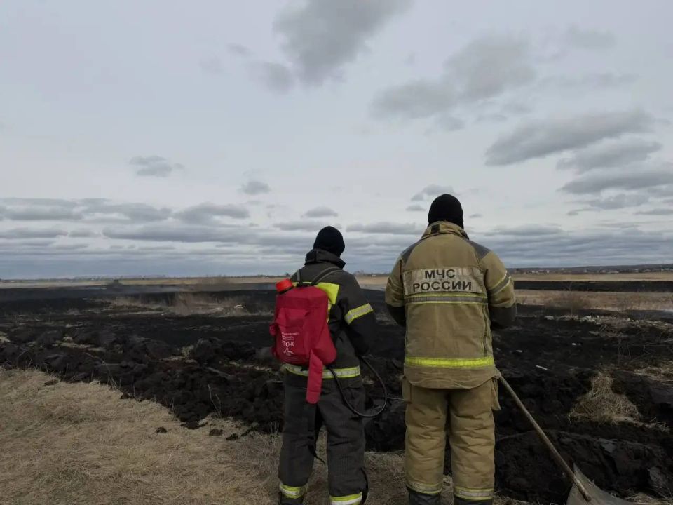 �� ���������� ������ ������������ �������� ����������� �� ����������� �������� ������������