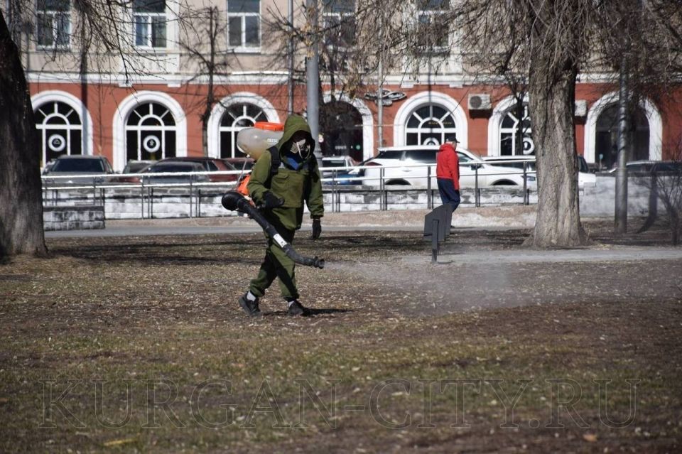 ���������� ������� ����� ������������ �� ������