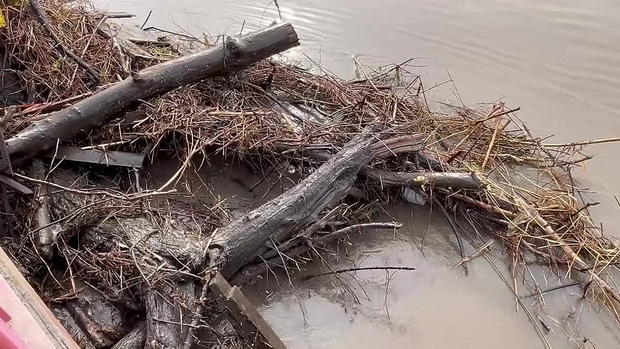 На Мало-Чаусовском мосту ведутся работы по расчистке