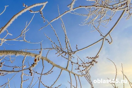 � ����������� ���� � ������ ������ ���������